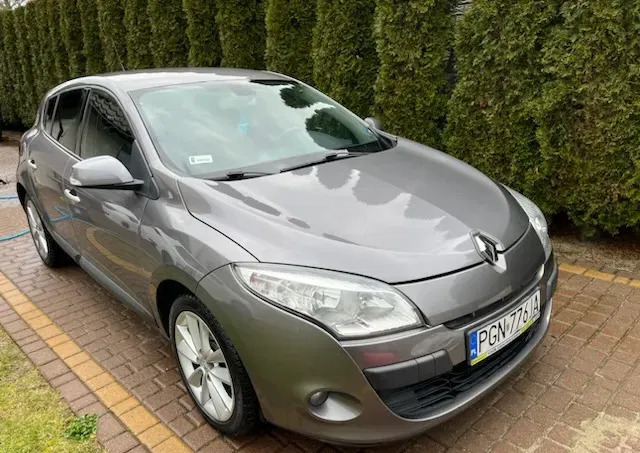 wielkopolskie Renault Megane cena 16999 przebieg: 191245, rok produkcji 2010 z Gniezno